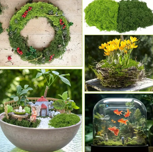 🎄🎉MUSGO LUJOSO EN TENDENCIA 2025🎅✨ PESEBRES Y DECORACIONES🎁🎇
