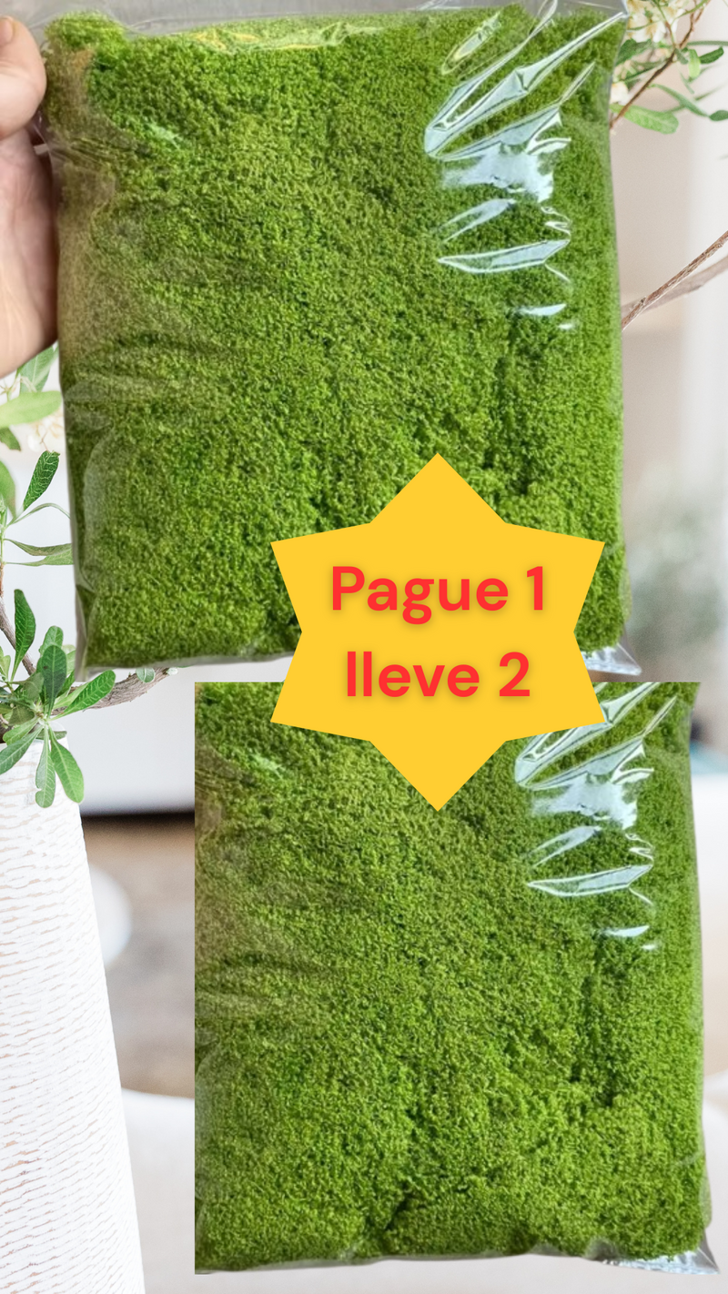 🎄🎉MUSGO LUJOSO EN TENDENCIA 2025🎅✨ PESEBRES Y DECORACIONES🎁🎇